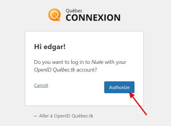 Autoriser la connexion en cliquant sur le bouton « Authorize »