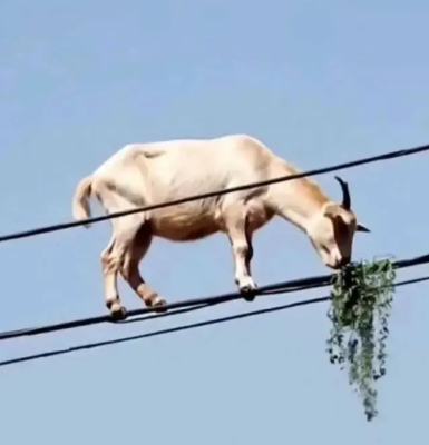 Capture d’écran du 2025-04-09 07-52-09