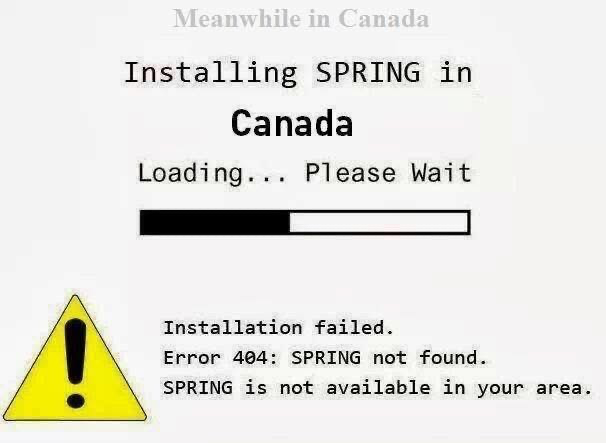 SpringFail