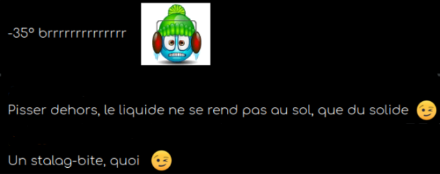 Capture d’écran du 2025-01-20 08-26-34