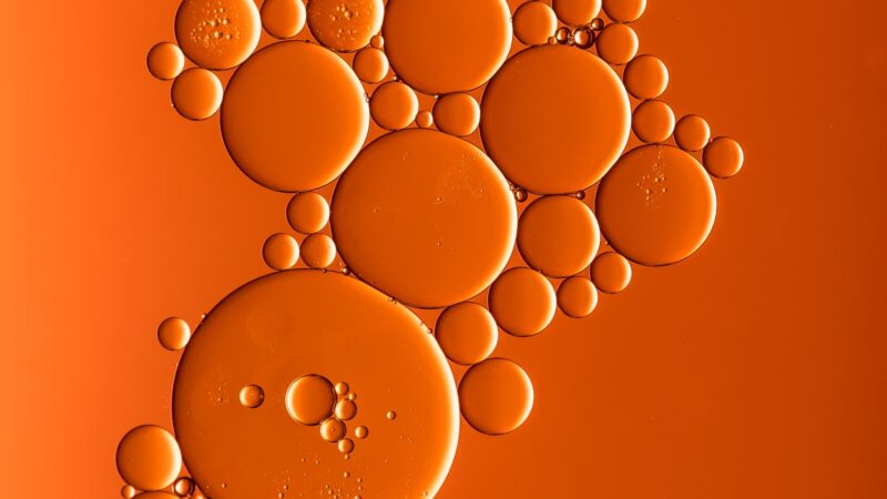 sharon-pittaway-4_hFxTsmaO4-unsplash