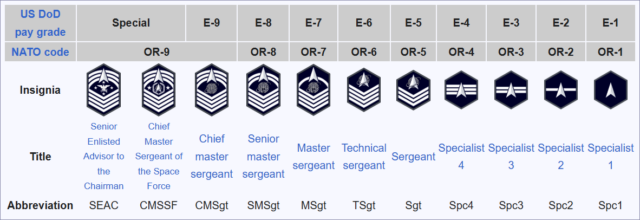 Space Force Enlisted insigna (Wikipedia)
