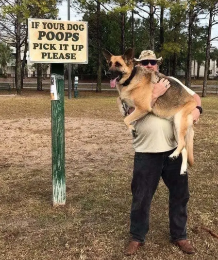 Capture d’écran du 2025-05-31 07-25-59