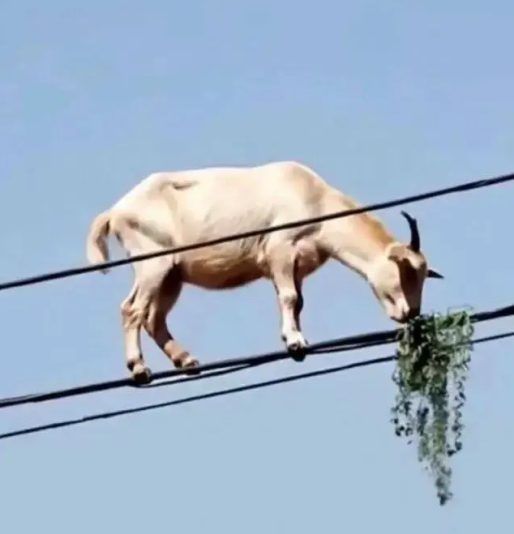 Capture d’écran du 2025-04-09 07-52-09