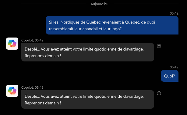 Capture d’écran du 2025-01-29 05-49-01