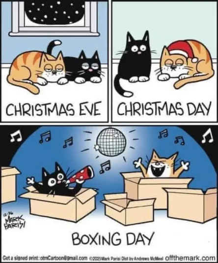 Capture d’écran du 2024-12-23 06-48-25