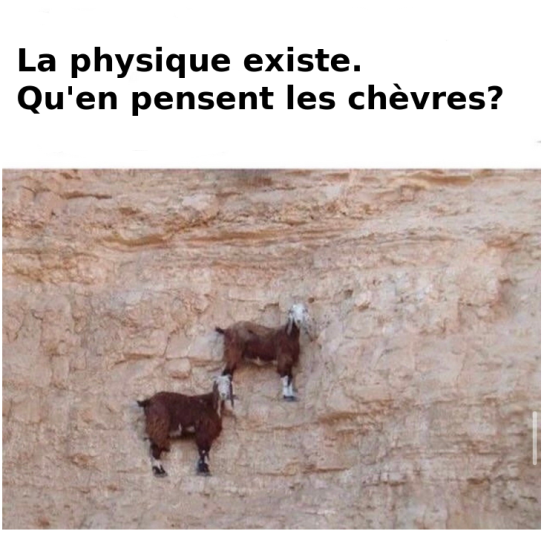 Capture d’écran du 2025-07-01 13-19-19