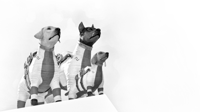 20210423 Équipage 1.0.1 06 100% +monotone 1920x1080